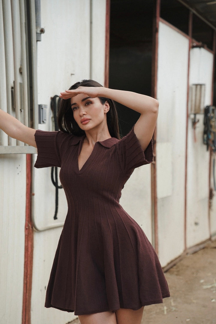 Brenda Knit Sweater Dress