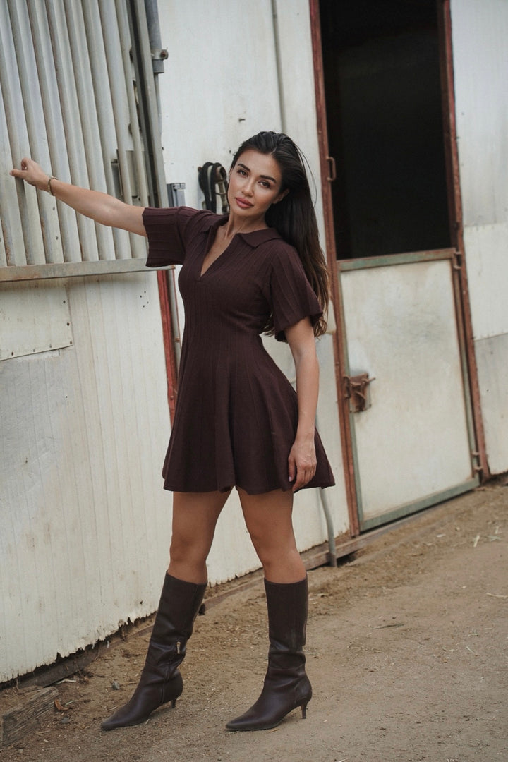 Brenda Knit Sweater Dress