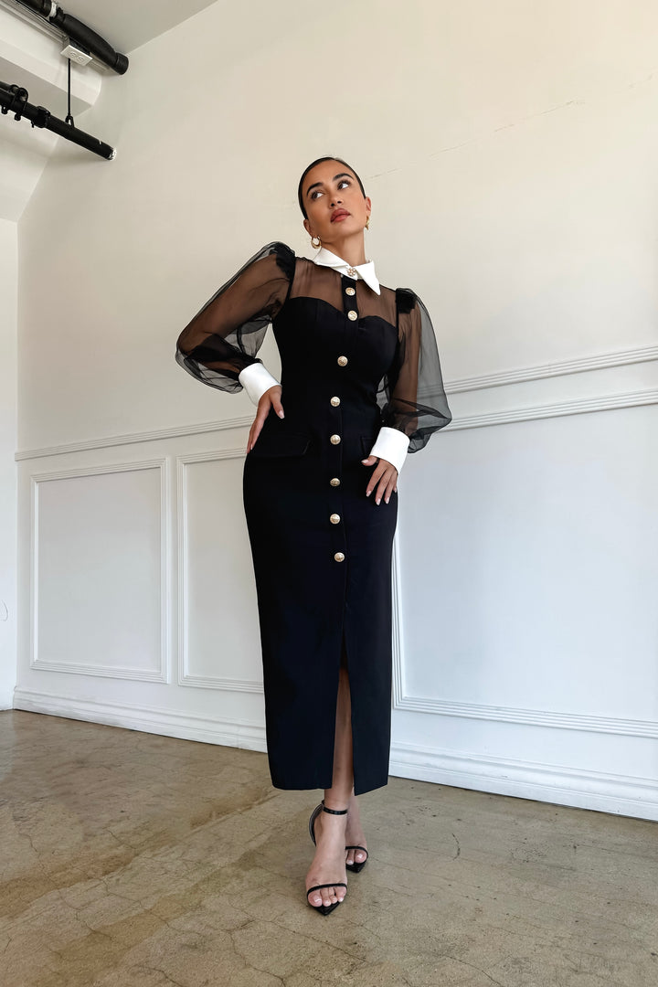Quiana Mesh Sleeve Dress