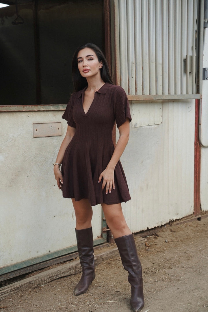 Brenda Knit Sweater Dress