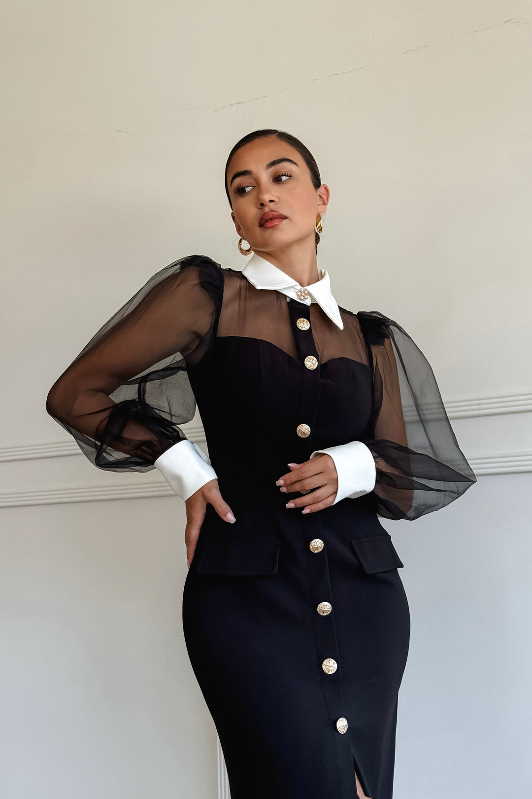 Quiana Mesh Sleeve Dress
