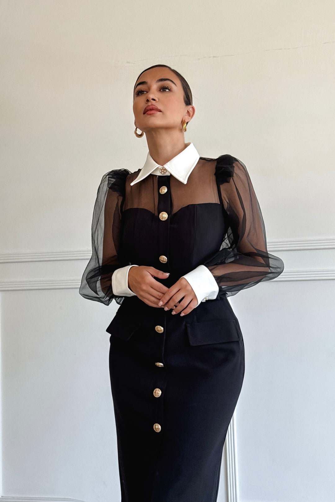 Quiana Mesh Sleeve Dress