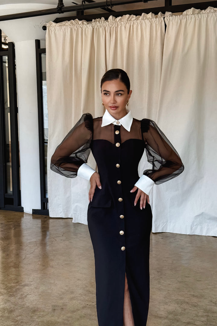 Quiana Mesh Sleeve Dress