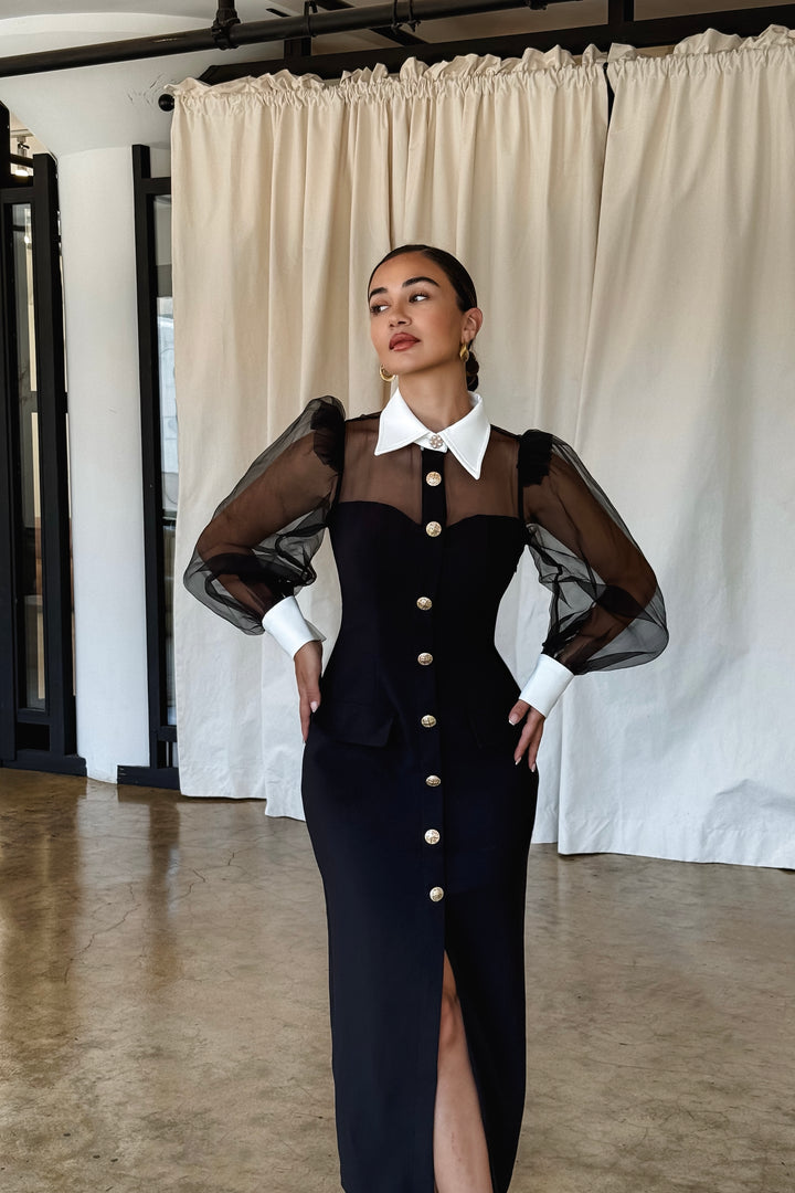 Quiana Mesh Sleeve Dress