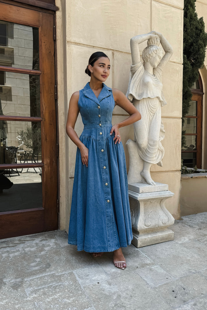 Aggie Denim Maxi Dress