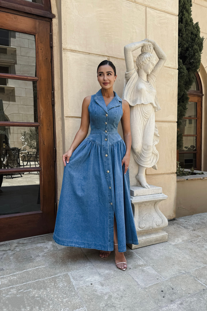 Aggie Denim Maxi Dress