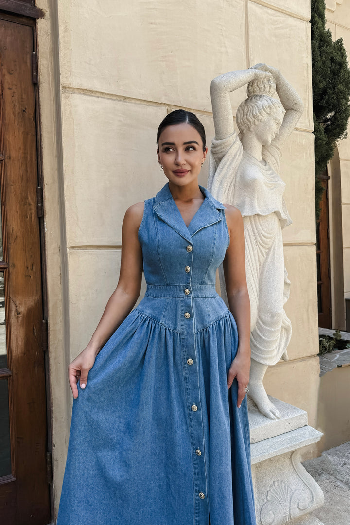 Aggie Denim Maxi Dress