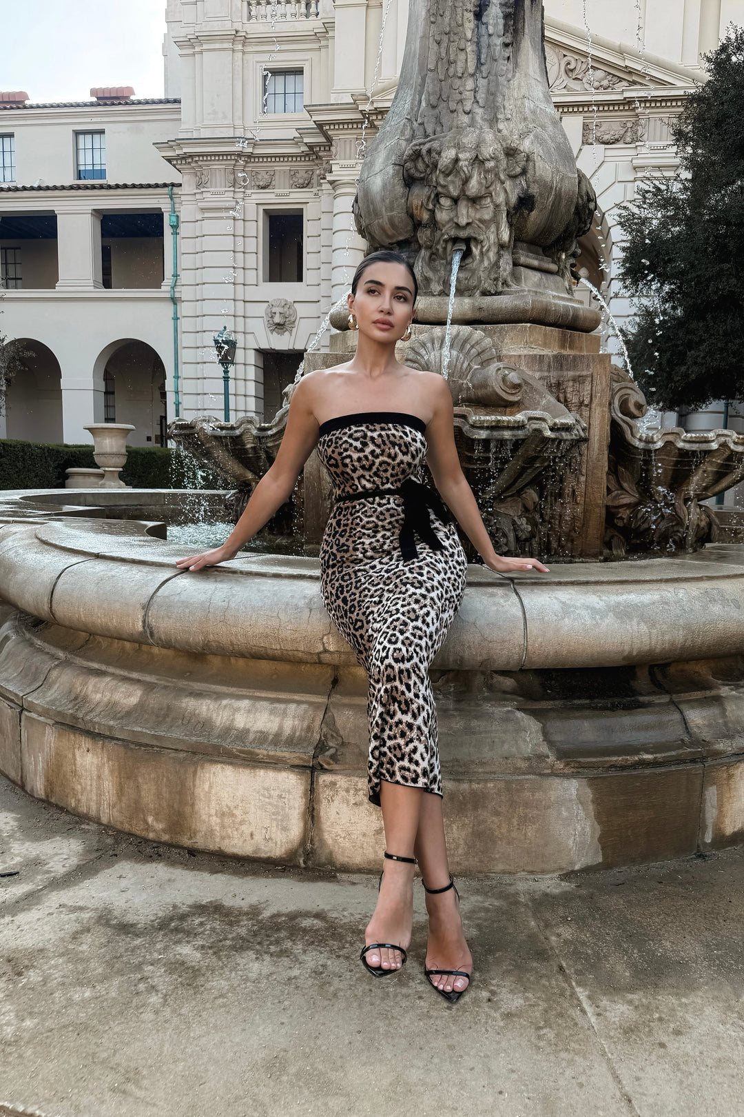 Georgeann Cheetah Print Knit Dress