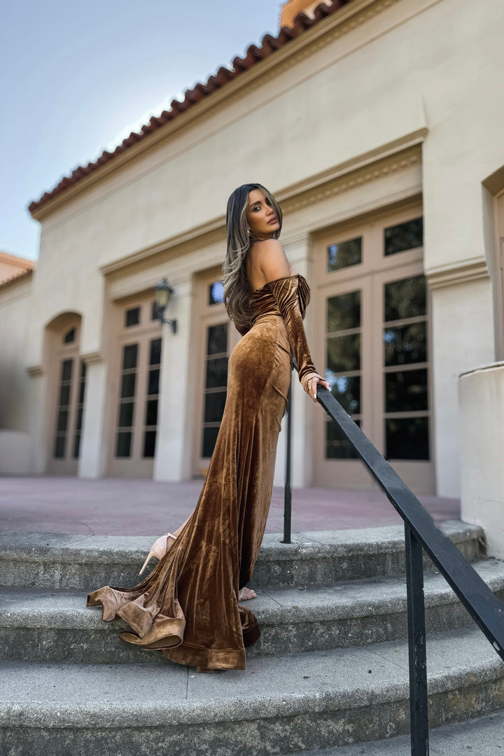 Zaide Velvet Gown - Chocolate